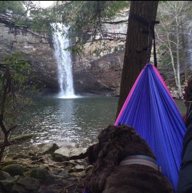 Fiery gizzard camping sale
