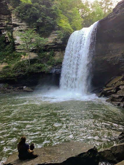 Frankie and Manson admire Greeter Falls in Tennessee with heavy waterflow after a storm. woman and dog looking at waterfall